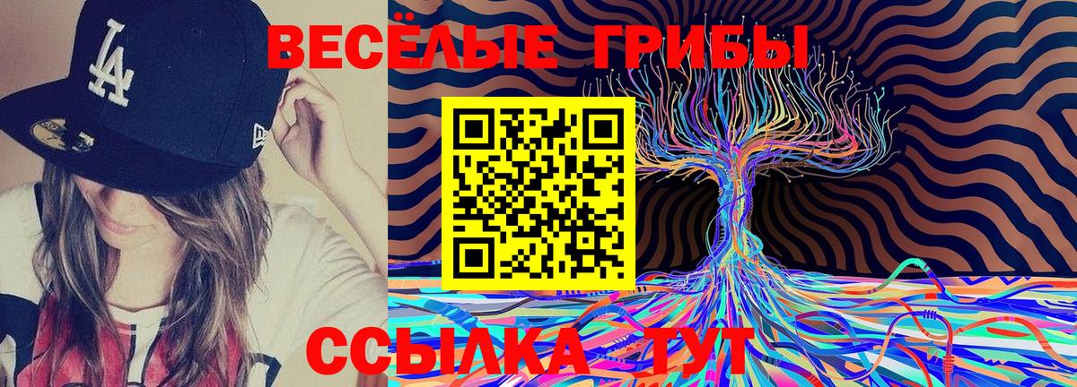 Кострома  Галлюциногенные грибы ЛСД  как найти   Вход с VPN  Псилоцибиновые грибы Psilocybine cubensis 