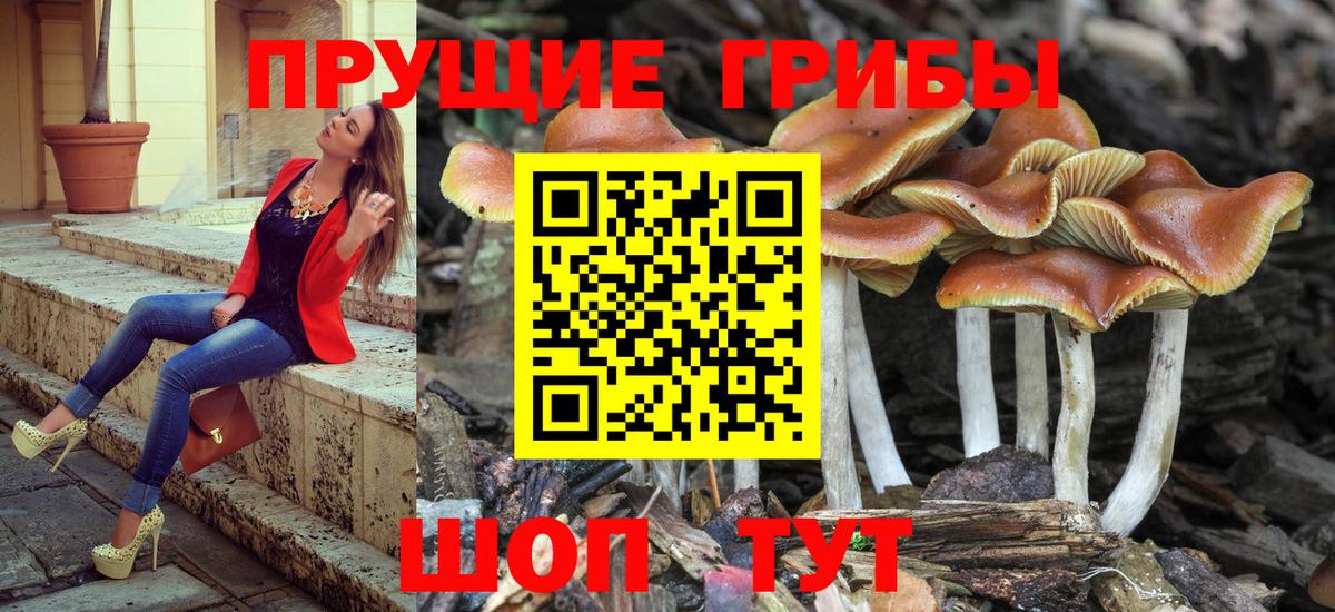 Галлюциногенные грибы ЛСД Кострома
